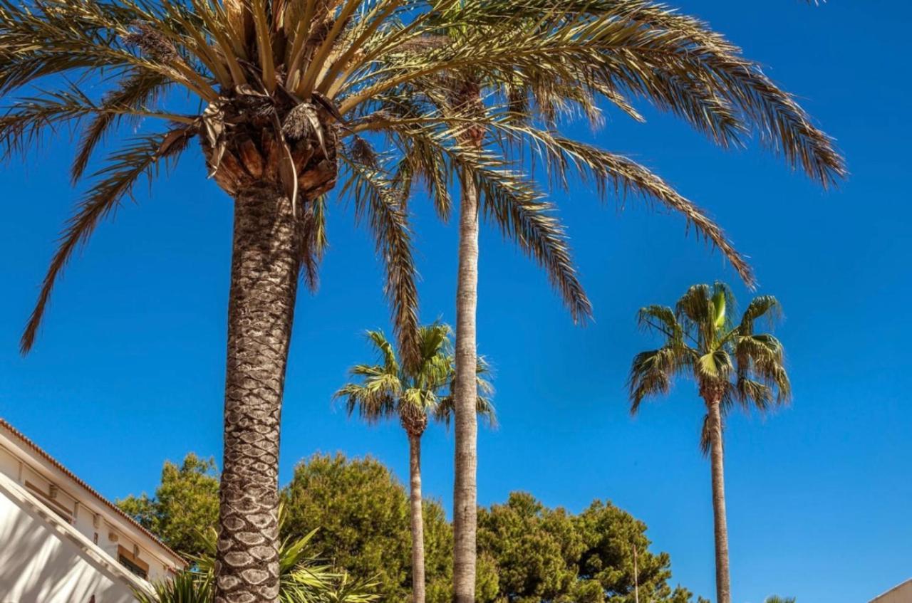 Bonito Apartamento Con Terraza, Jardin Y Piscina Cala en Bosc Eksteriør billede